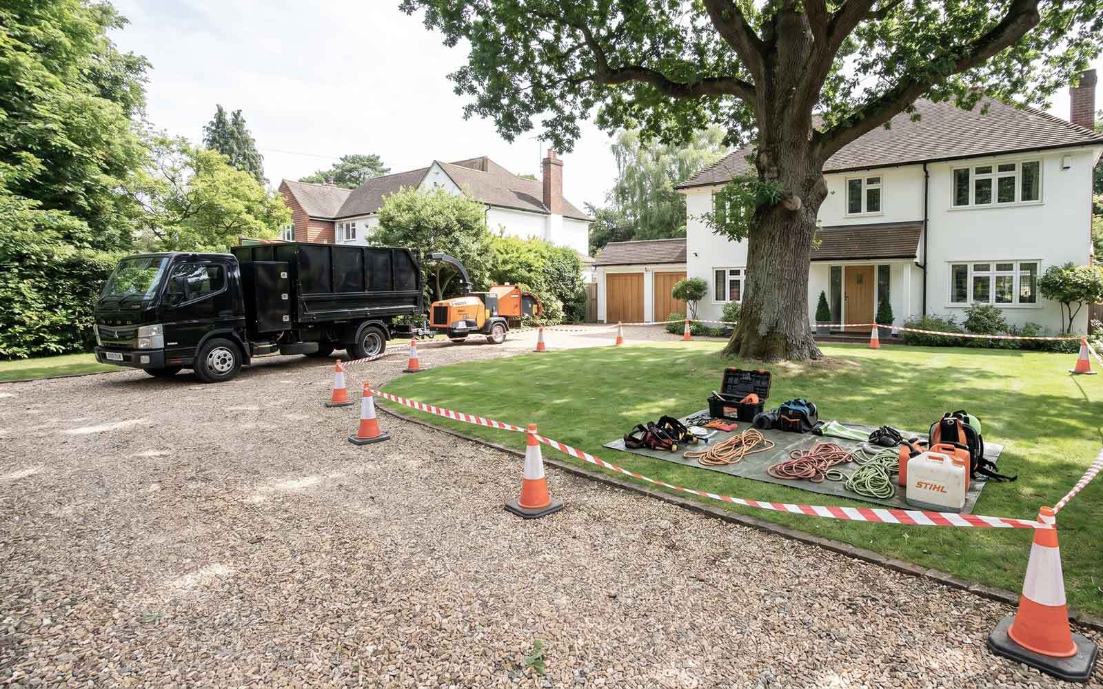Premier Tree Surgery Work