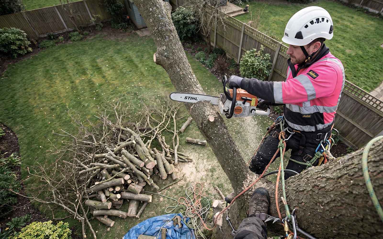 Premier Tree Surgery Work