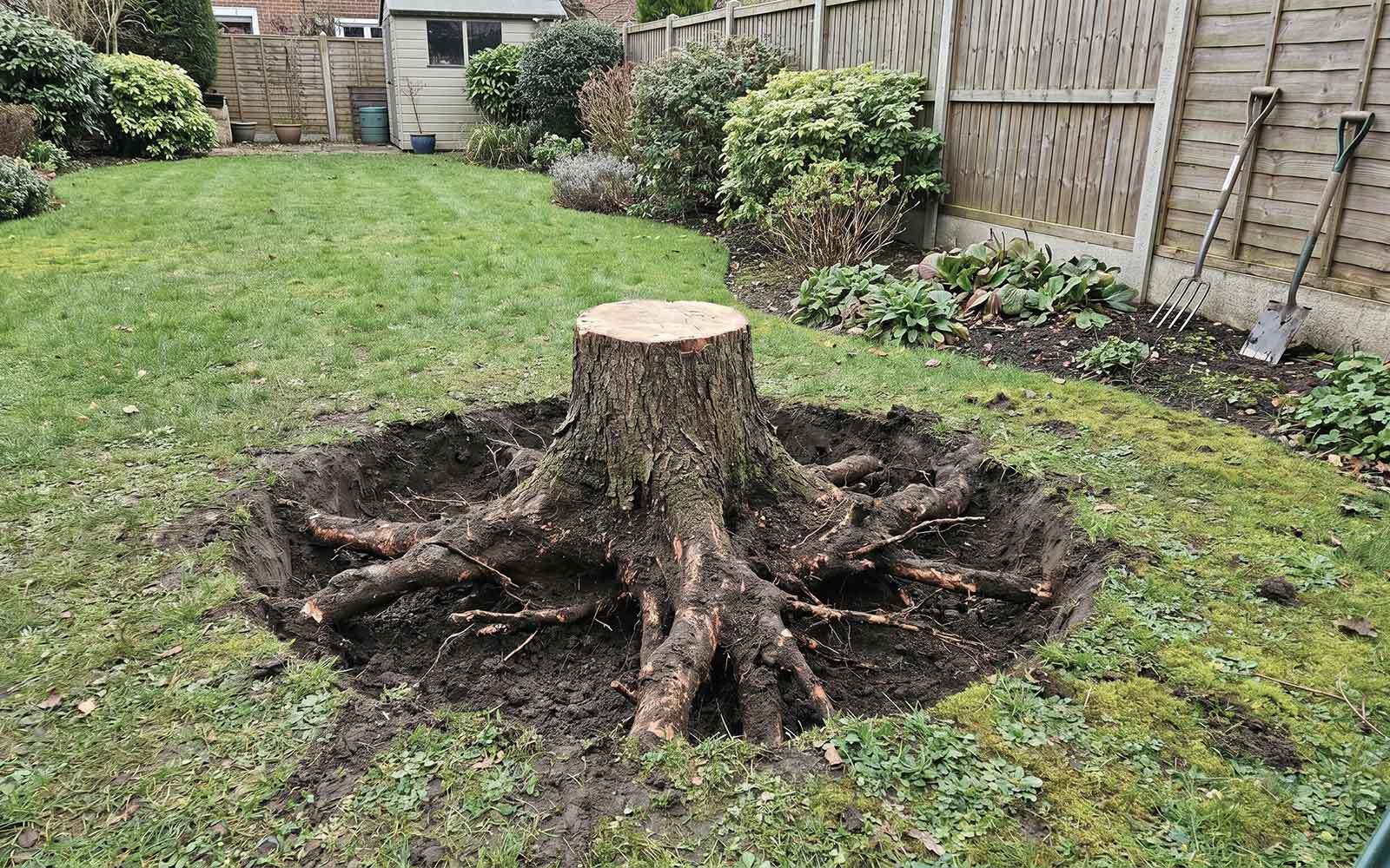 Premier Tree Surgery Work